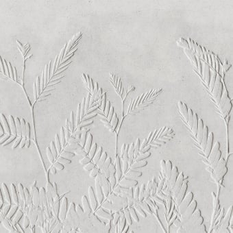 Papeles pintados panorámico Fern