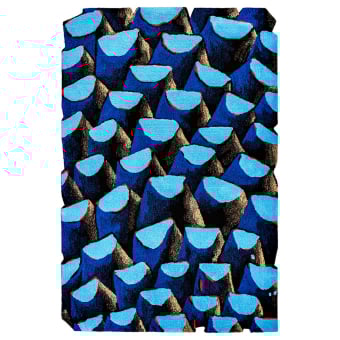 Bleu Palmier By Julien Colombier Rug