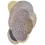 Teppich Expansion By Alix Waline Pinton Beige PF2-014-180x250