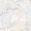 Hinson Palm Wallpaper Jannelli & Volpi Light 26009