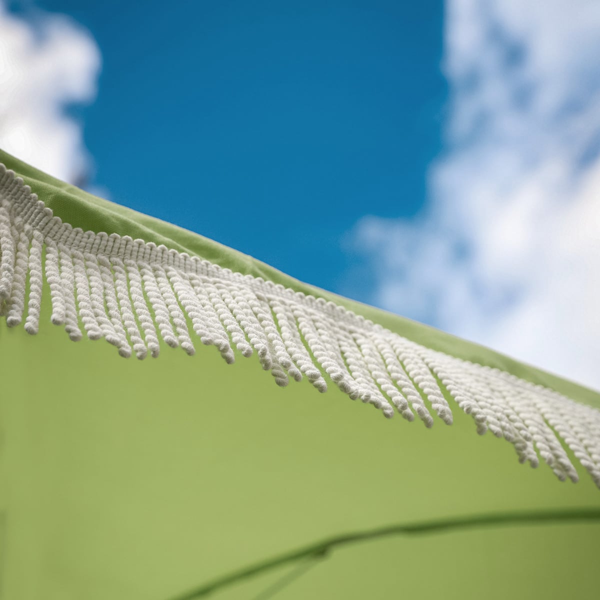 Palma outdoor bullion fringe 80mm Houlès