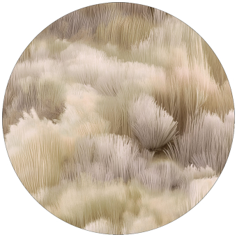 Tappeti Beetle Dunes Round