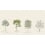 Carta da parati panoramica Arbustes Isidore Leroy Naturel Arbustes-naturel ABCD