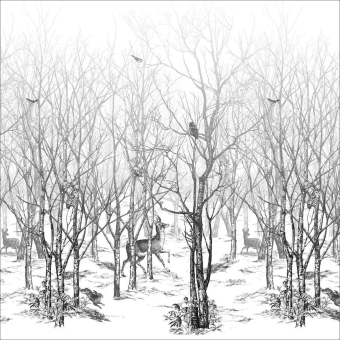 Papeles pintados panorámico Forêt enchantée