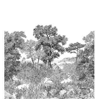 Papeles pintados panorámico Forêt de Bretagne