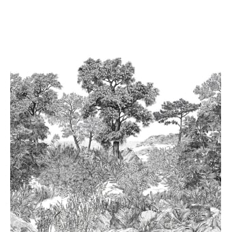 Papier peint panoramique Forêt de Bretagne