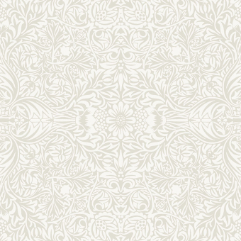 Tapete Ceiling
