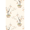 Kaki Persimmon Wallpaper Cole and Son