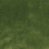 Velours Gabrielle Nina Campbell Green NCF4540-14