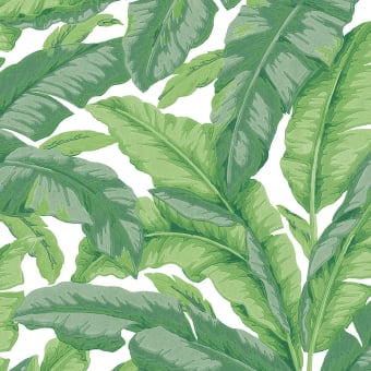 Banane Wallpaper