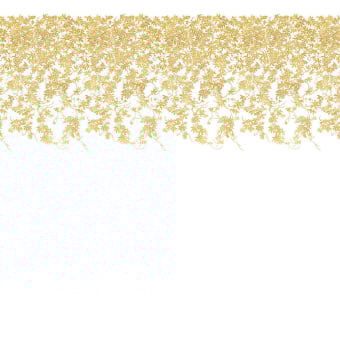 Papier peint panoramique Passiflores