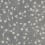 Porzellan Steinzeug Flowers grande dalle Bardelli Decor 4C DE4C620
