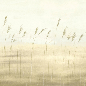 Papier peint panoramique Jonc des Dunes