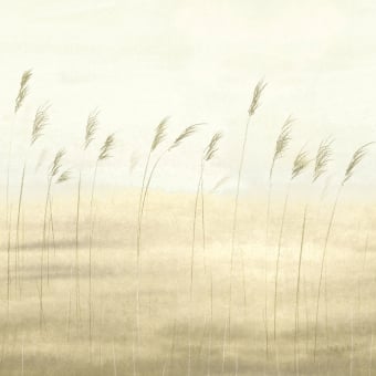 Papier peint panoramique Jonc des Dunes