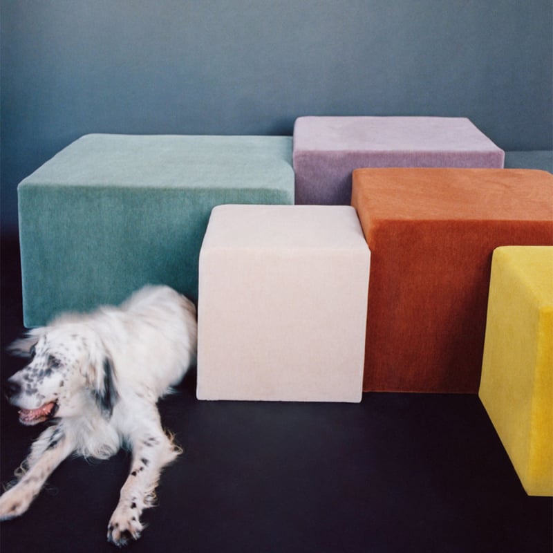 Velours Alpaca Alto Dedar