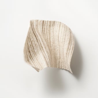 Esprit Rude, Esprit Doux Veil