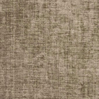 Terciopelo Kintore