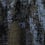 Stoff Paros Verel de Belval Ombre 71390/004