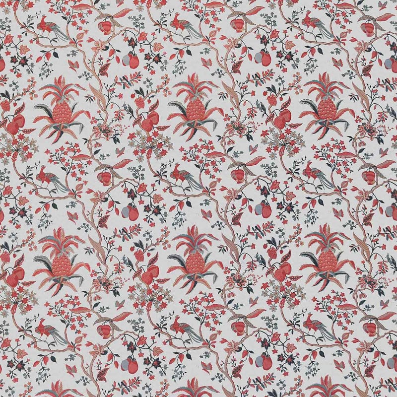 Stoff Carbono Gastón y Daniela