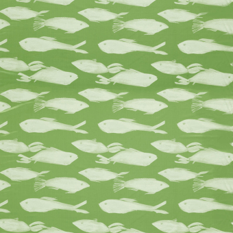 Kaku Fabric