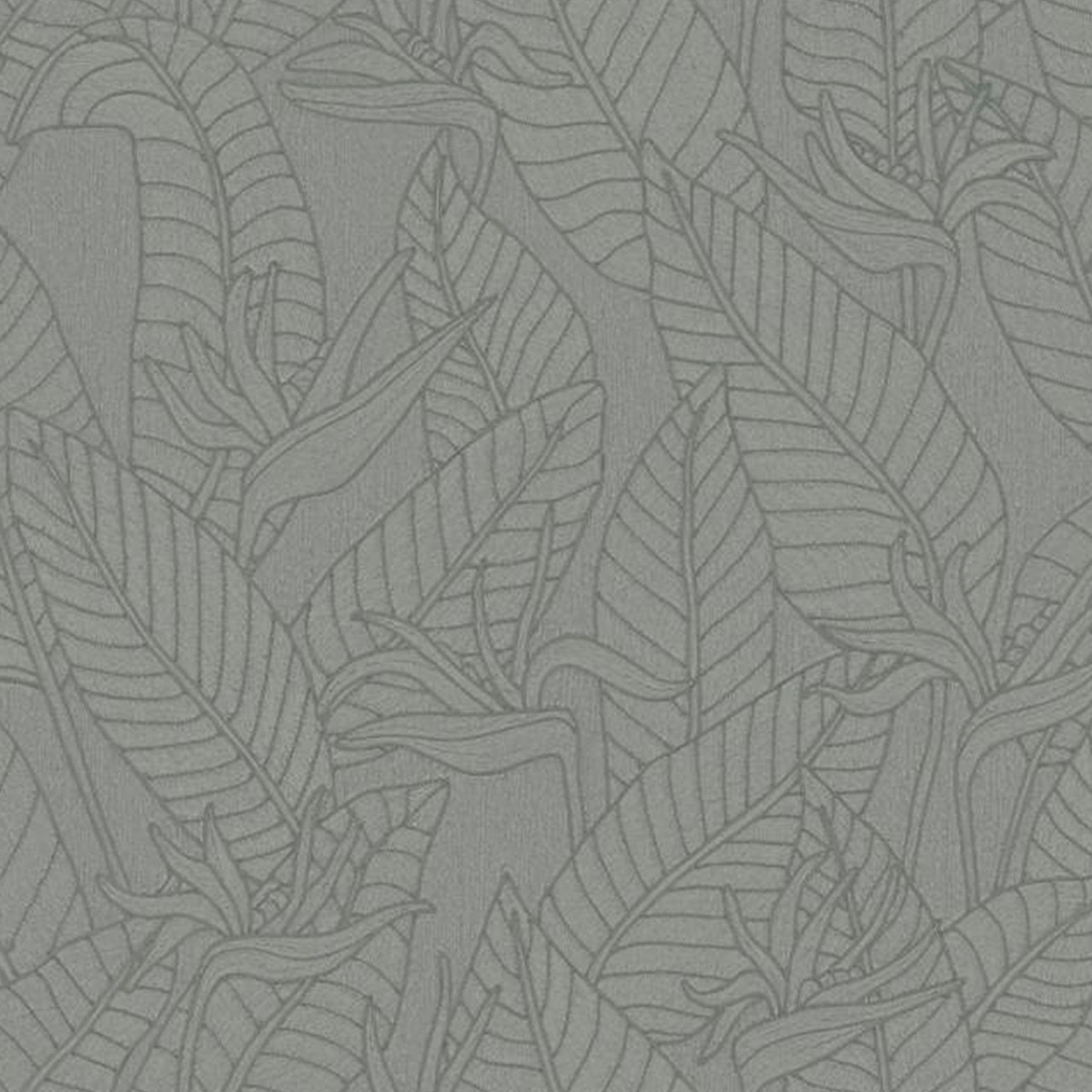 Strelitzia Wallpaper - Arte