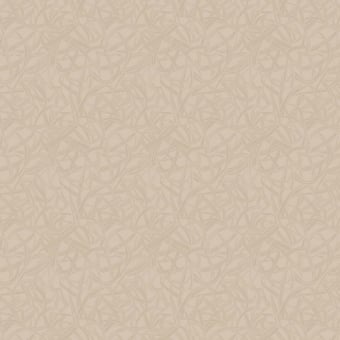 Ami Fabric