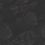 Tissu Dhara Sahco Graphite F600782-C0190