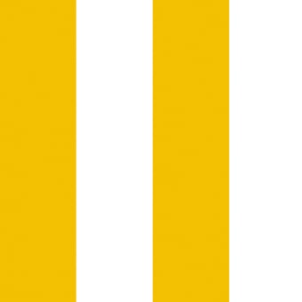 La Très Grosse Rayure Panel