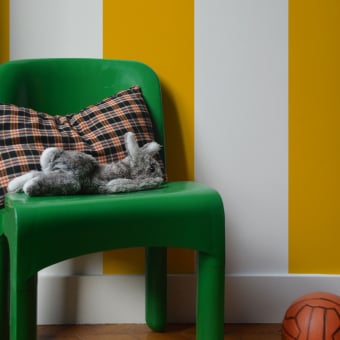 Papeles pintados panorámico La Très Grosse Rayure