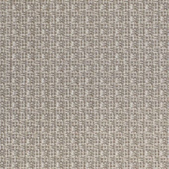 Curiosity Fabric