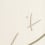 How Soon is Now Fabric Dedar Salvia 00T2504000001
