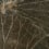 Nénuphar Sauvage Wall Covering CMO Paris Mousse CMO WNE 02 68