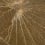 Nénuphar Sauvage Wall Covering CMO Paris Kaki CMO WNE 02 65