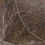 Revêtement mural Nénuphar Sauvage CMO Paris Écorce CMO WNE 02 75