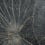 Nénuphar Sauvage Wall Covering CMO Paris Noir CMO WNE 02 80