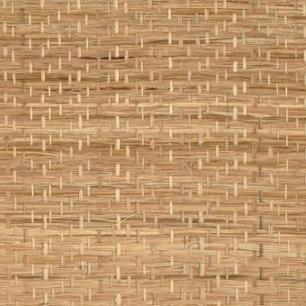 Abaca Herbacé Wall Covering