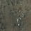 Liège Or Wall Covering CMO Paris Épicéa CMO WLI 04 69