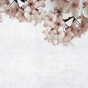 Carta da parati panoramica Blossom Big Almond Flower