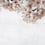 Blossom Big Almond Flower Panel Coordonné 553x270 cm 6500309N