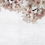 Panoramatapete Blossom Big Almond Flower Coordonné 553x270 cm 6500309N