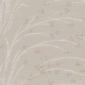Carly Fabric