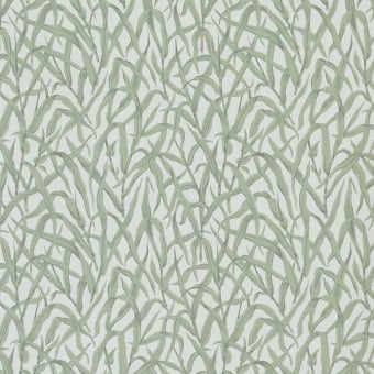 Papier peint Ornamental Grasses
