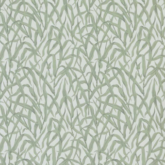Tapete Ornamental Grasses
