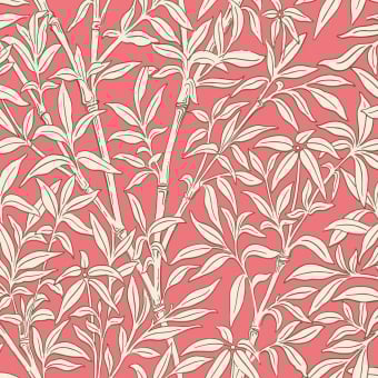 Bamboo Forest Wallpaper