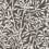 Bamboo Forest Wallpaper Cole and Son Morning Frost 127/1007