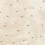 Twinkle Twinkle wallpaper Villa Nova Chalk W581/04