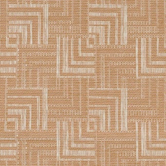 Tissu Papago