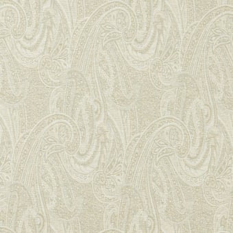 Clyde Paisley Fabric