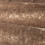 Terciopelo Curzon Zoffany Sable ZCUR331100