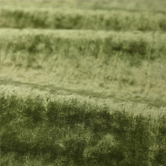 Terciopelo Curzon
